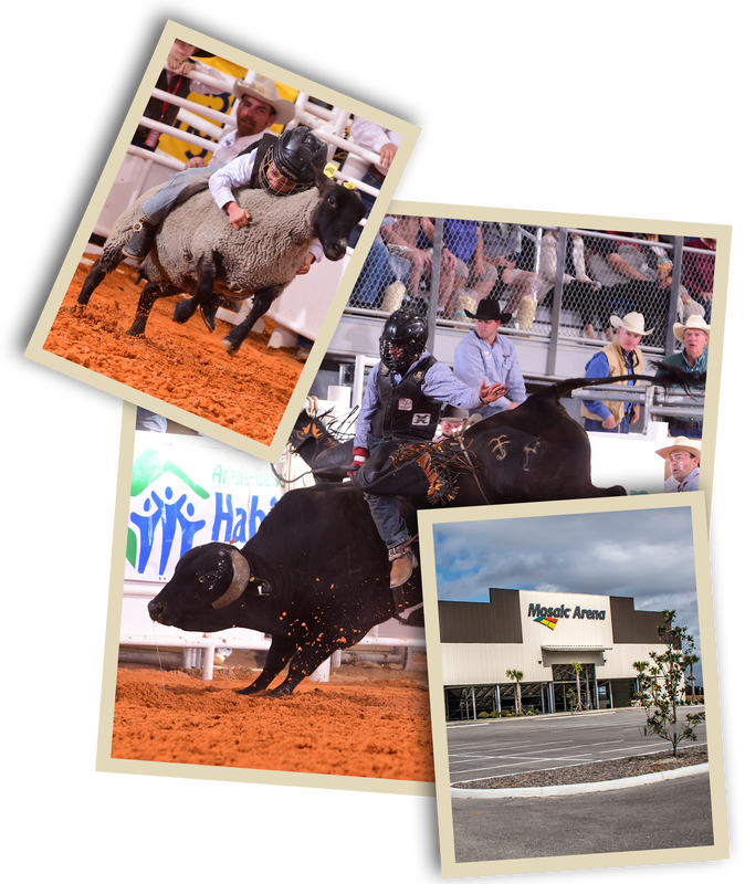 Collage of various rodeo events